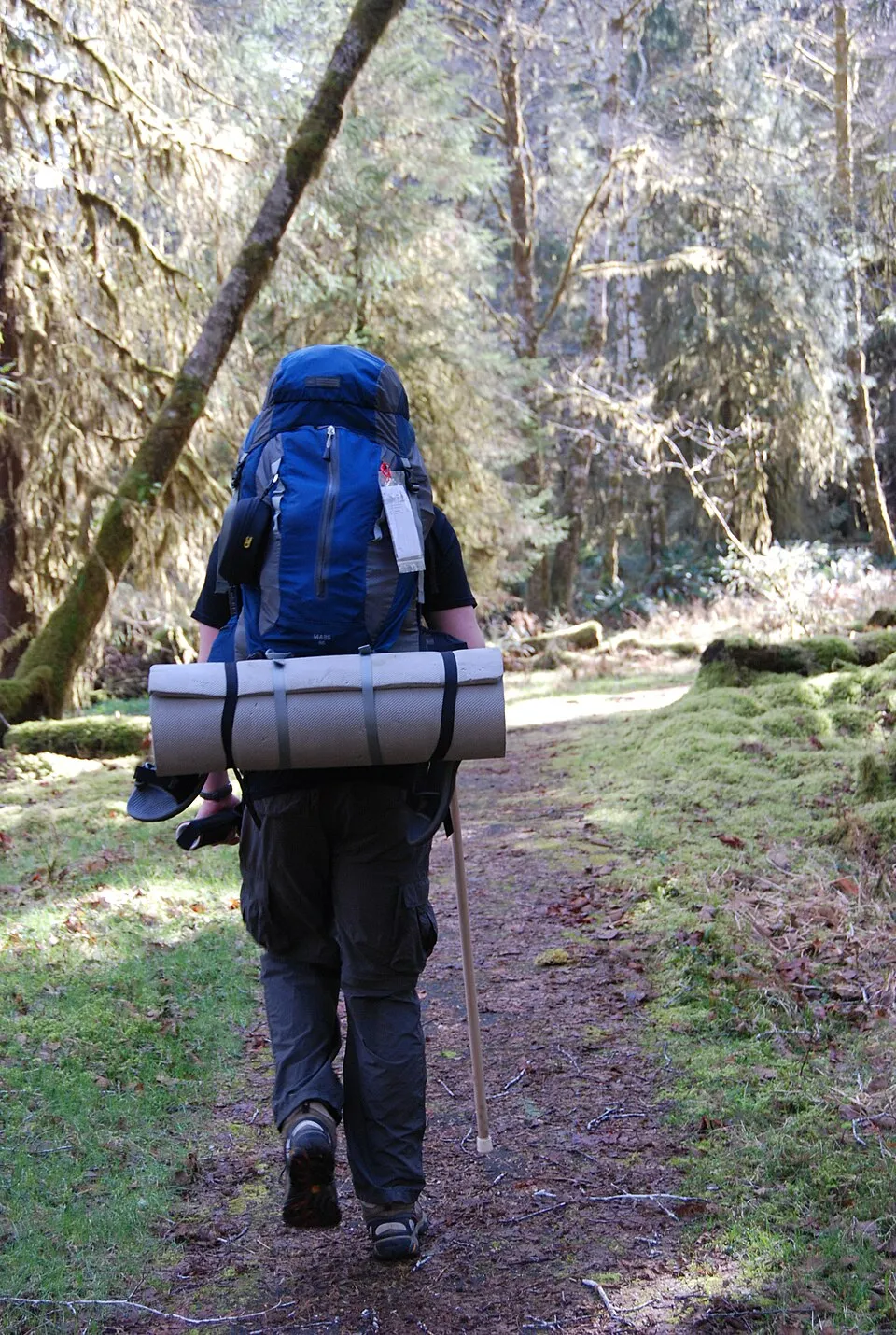 Backpacking to the coast